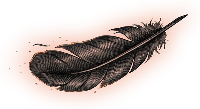 The falling feather, kept for another use